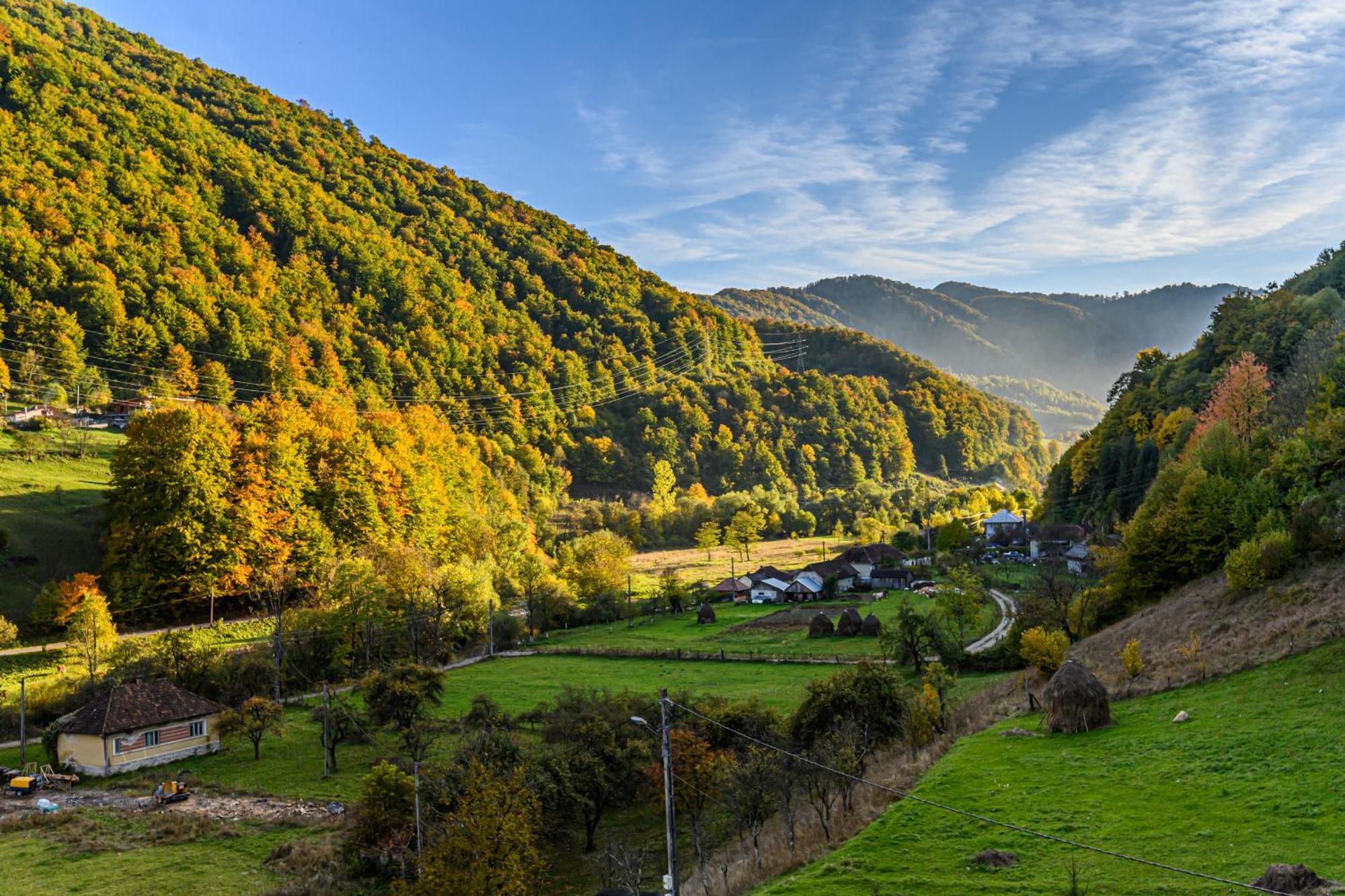 Pensiunea Apuseni Wild Remeţi Exteriér fotografie